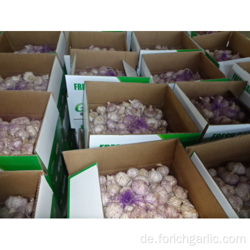 Die Knoblauch-frische neue Ernte 2019